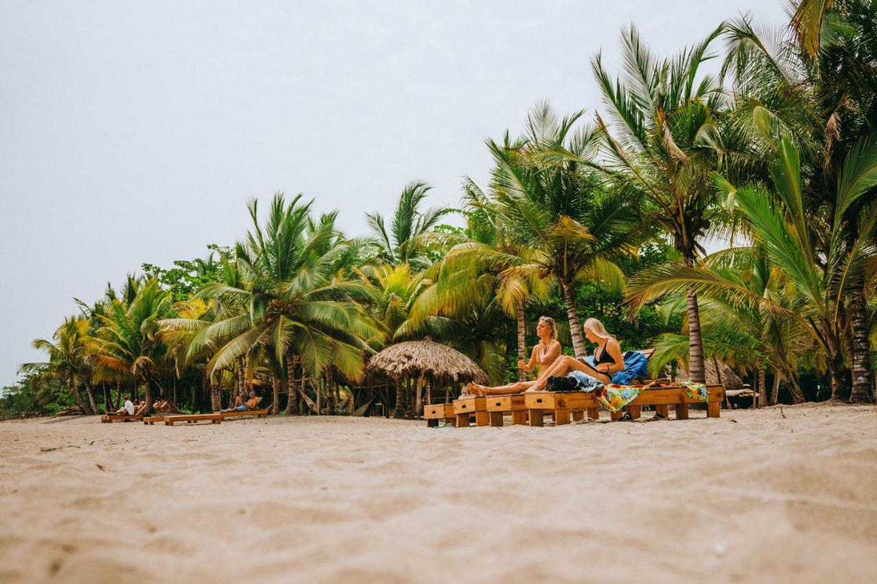 Viajero Tayrona Hostel & Ecohabs Buritaca Eksteriør billede