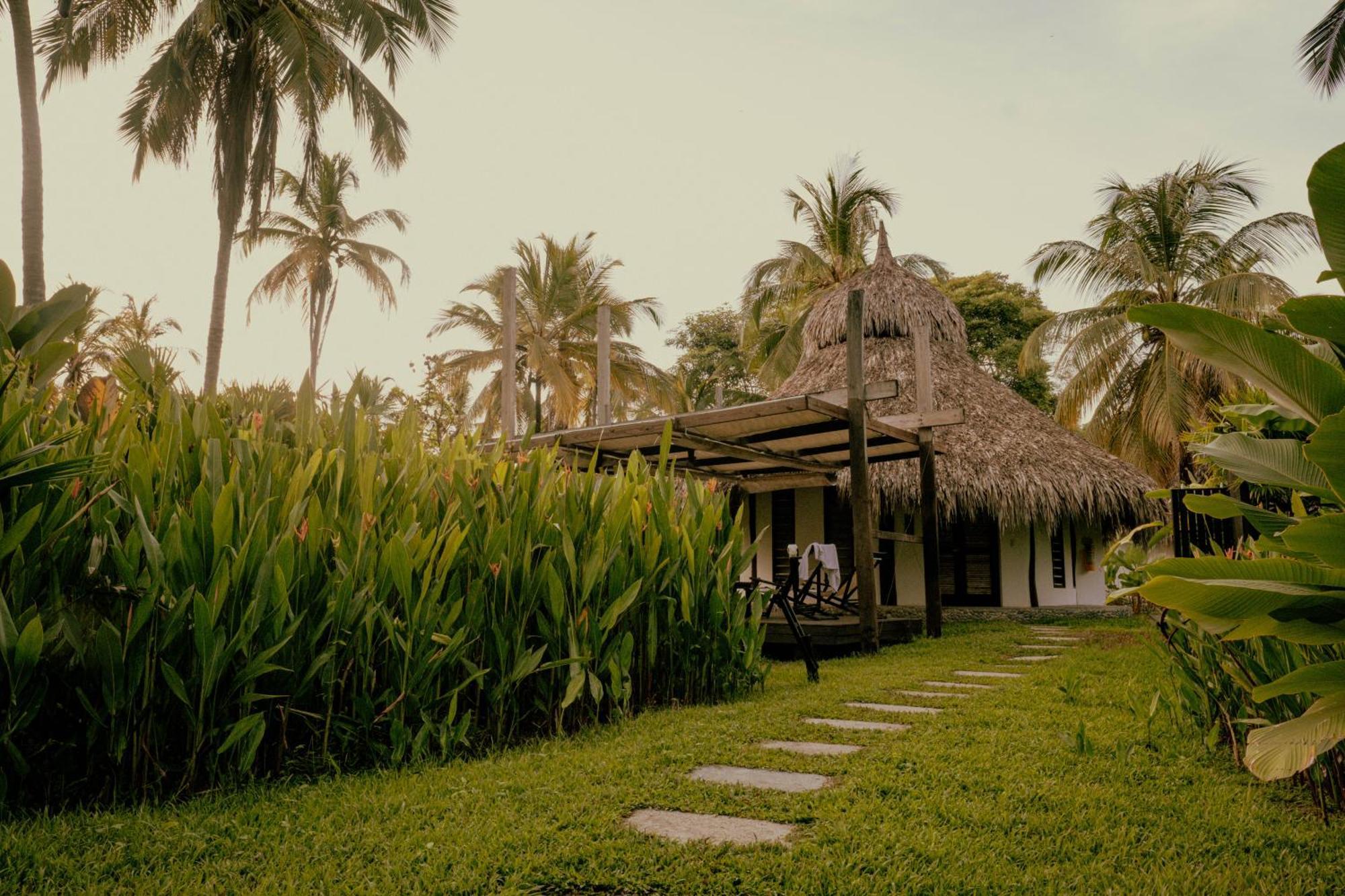 Viajero Tayrona Hostel & Ecohabs Buritaca Eksteriør billede