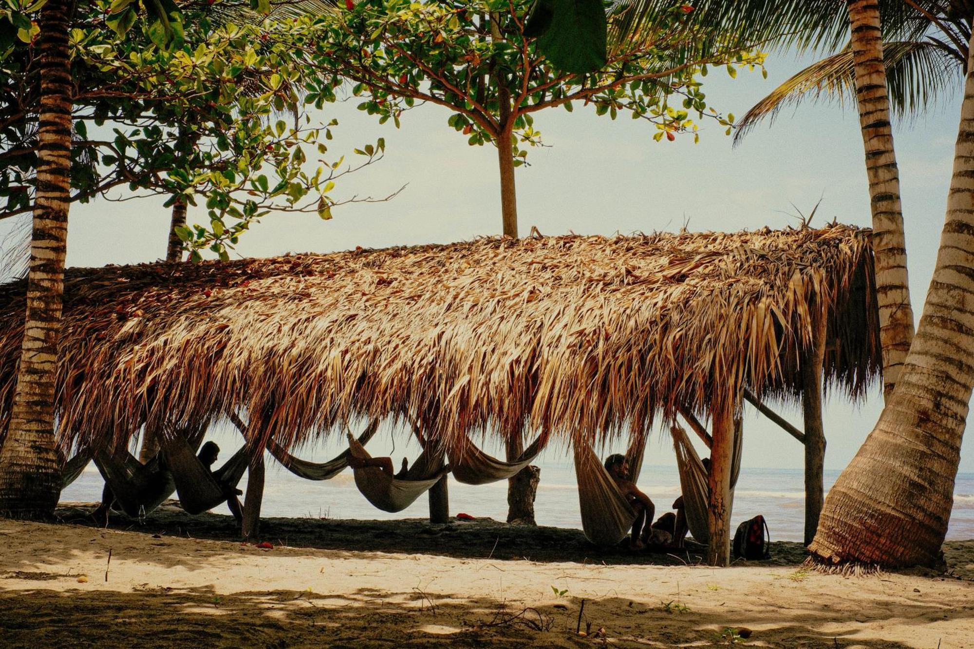 Viajero Tayrona Hostel & Ecohabs Buritaca Eksteriør billede